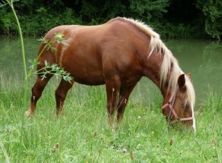  escapada a caballo 